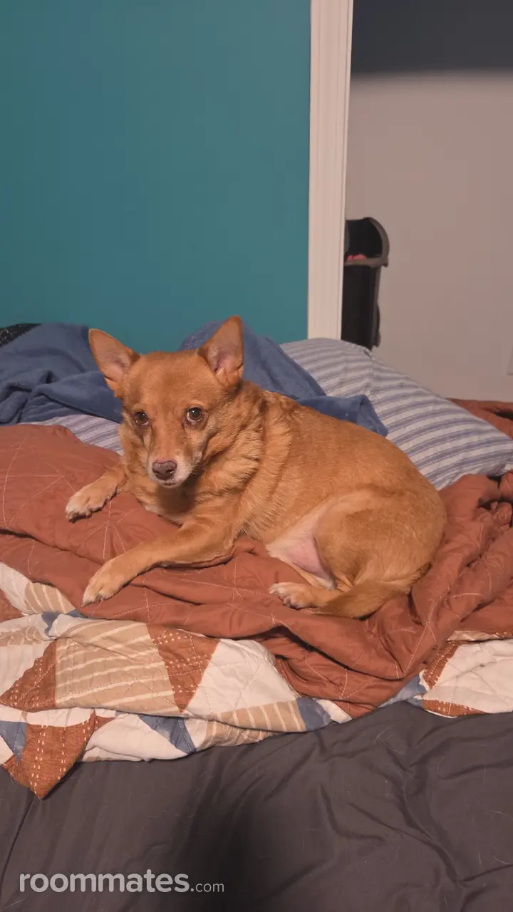 Profile photo 2 of 6