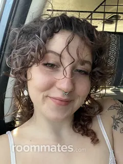 Roommate looking Asheville, NC, $700