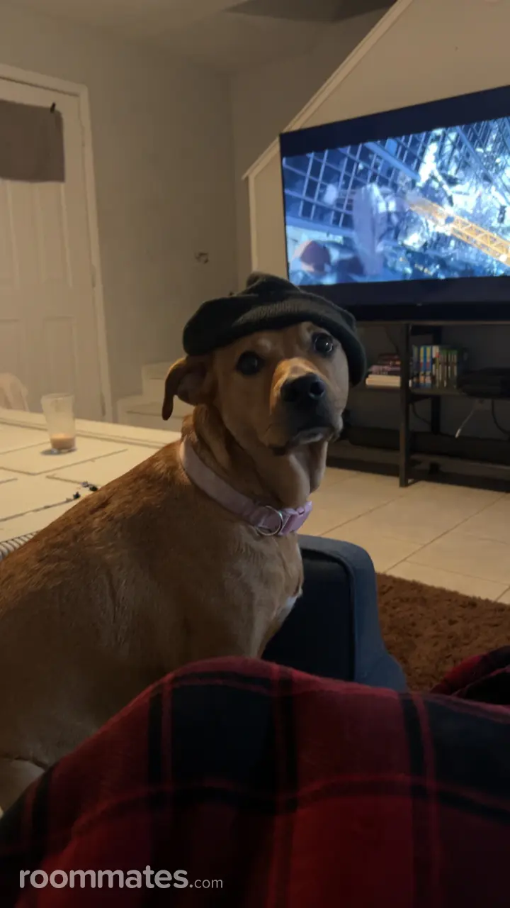 Profile photo 4 of 5