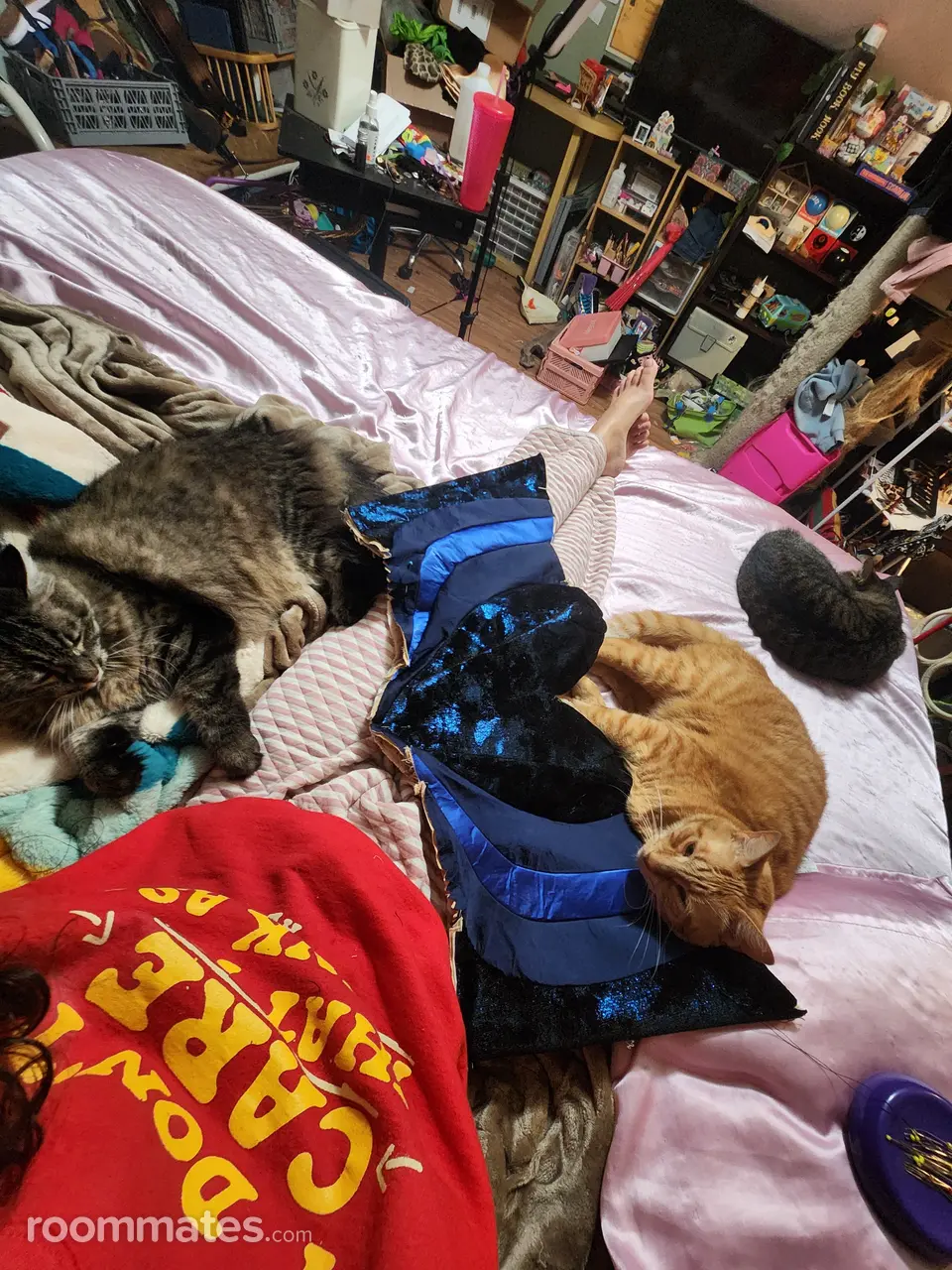 Profile photo 4 of 7