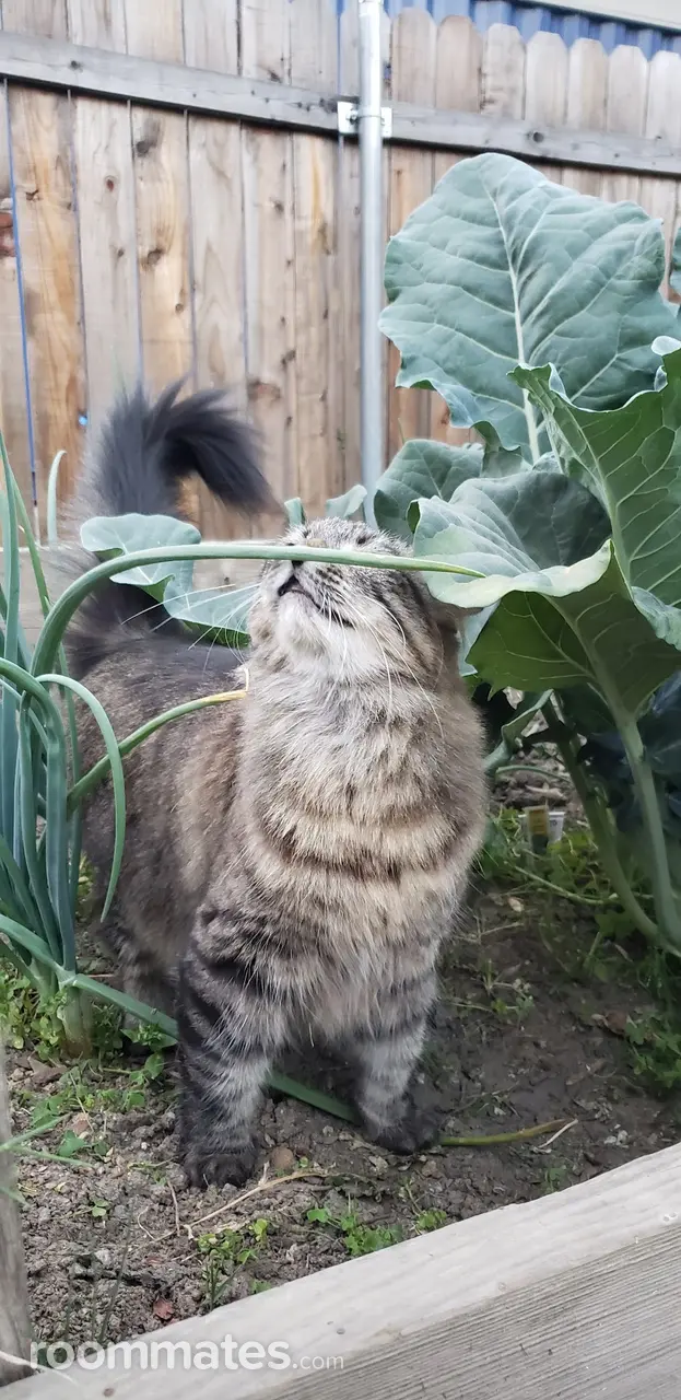 Profile photo 5 of 7