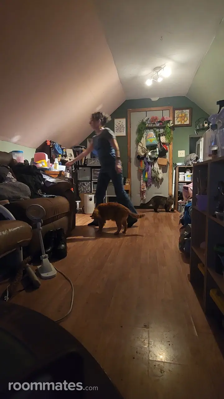 Profile photo 7 of 7