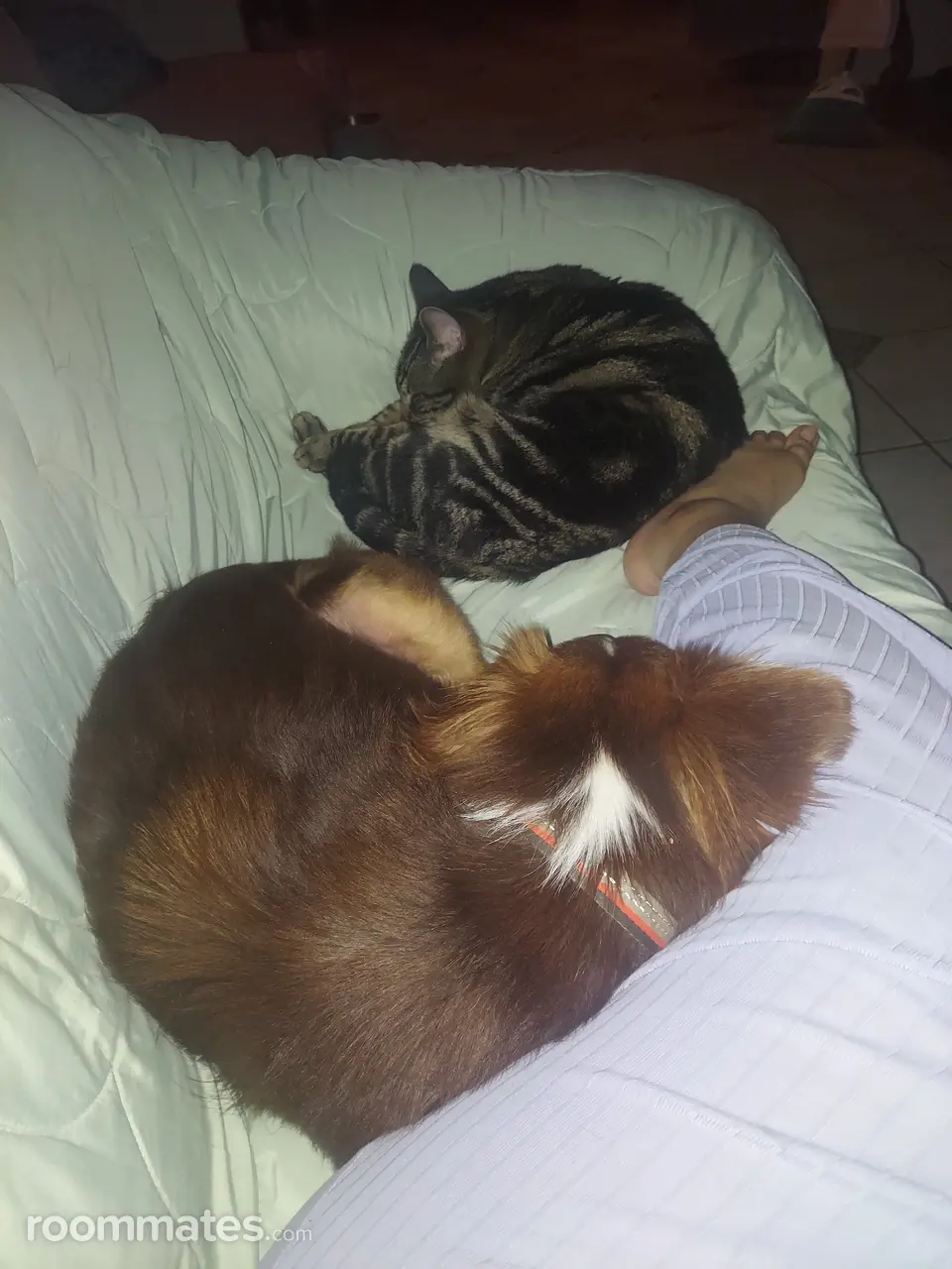 Profile photo 3 of 3