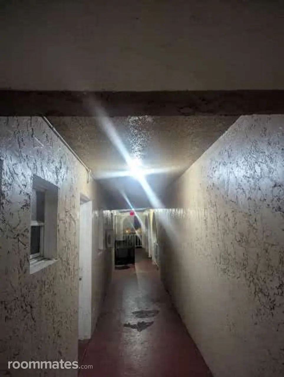 Profile photo 1 of 2