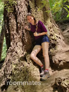 Roommate looking Austin, TX, $900