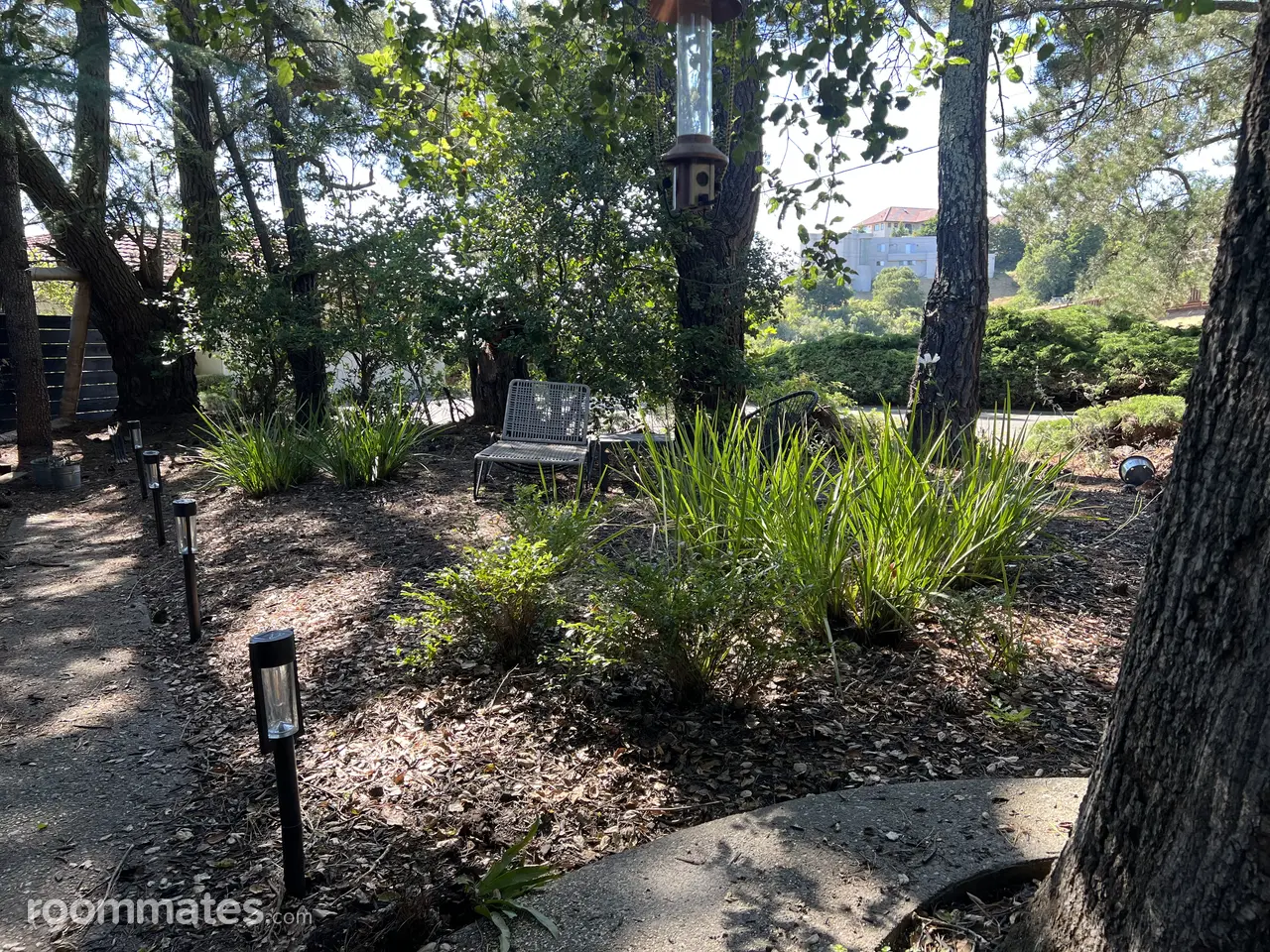 Profile photo 8 of 10