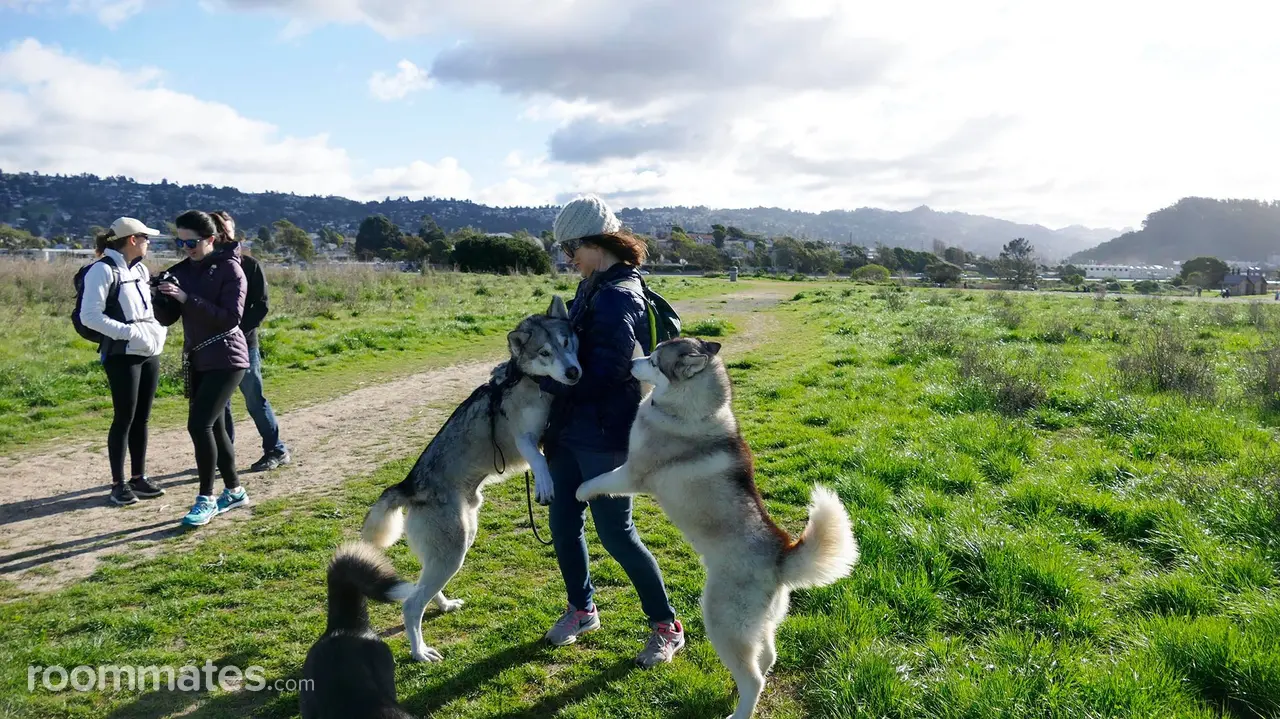 Profile photo 9 of 10