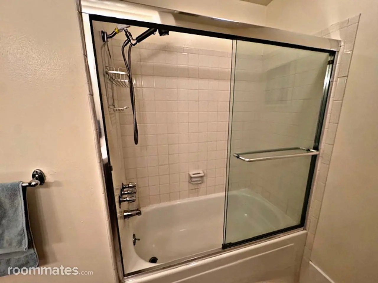 Profile photo 7 of 11