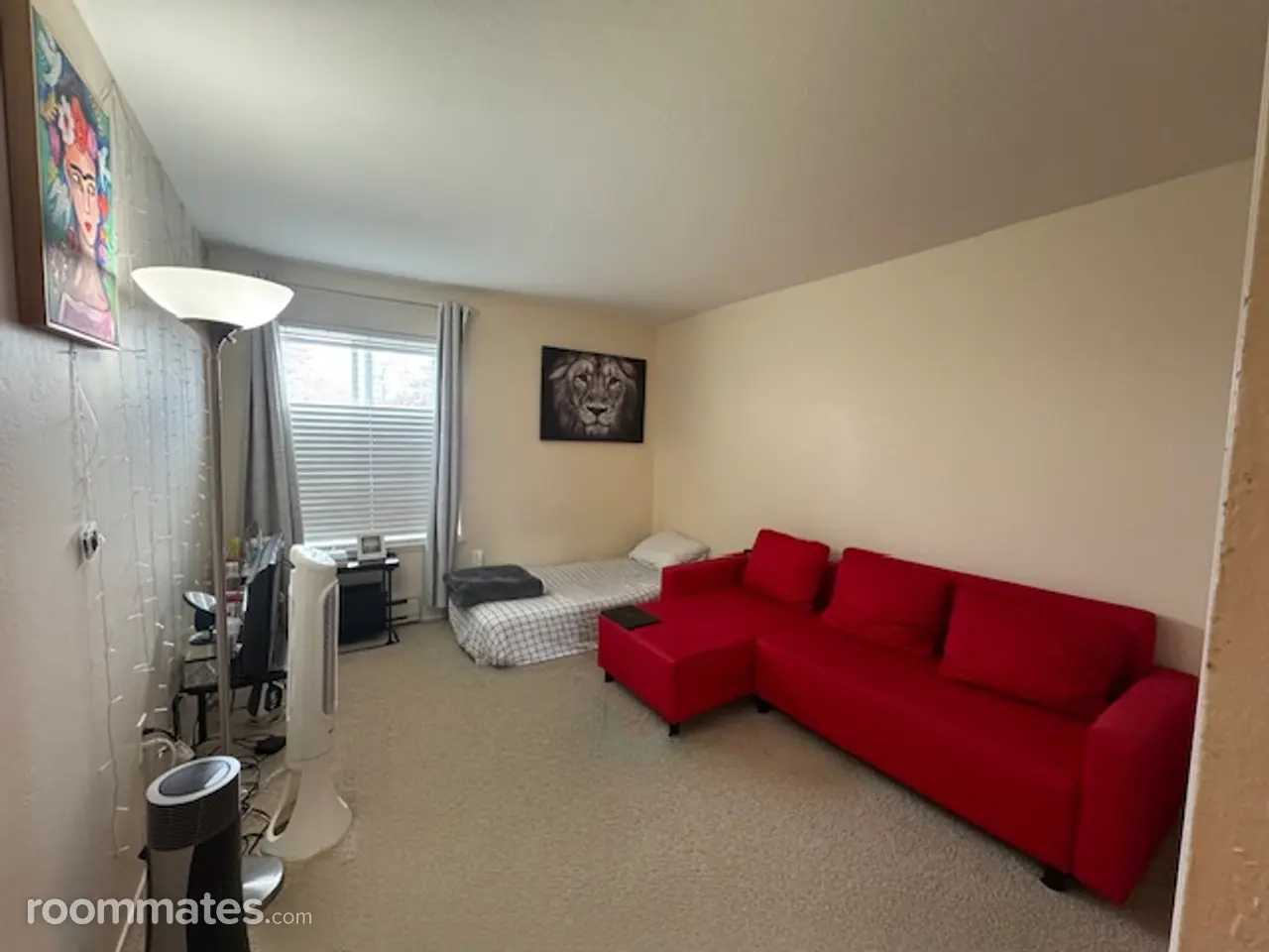 Profile photo 3 of 11