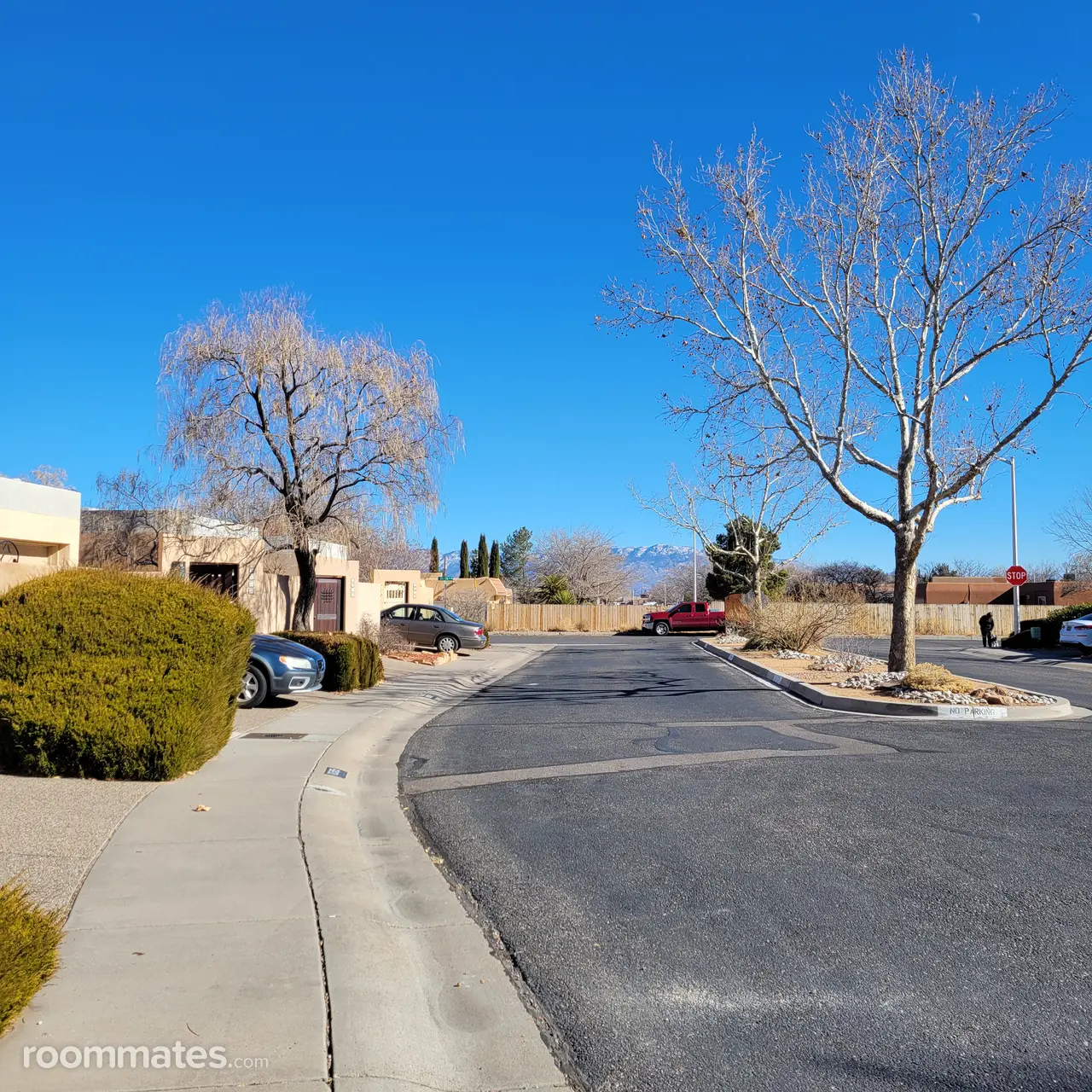 Profile photo 3 of 4