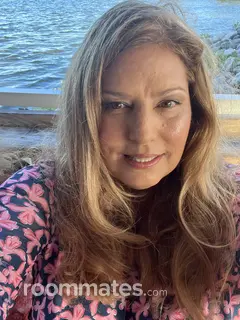 Roommate looking Saint Louis, MO, $800