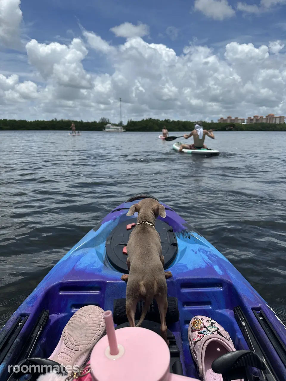 Profile photo 9 of 14