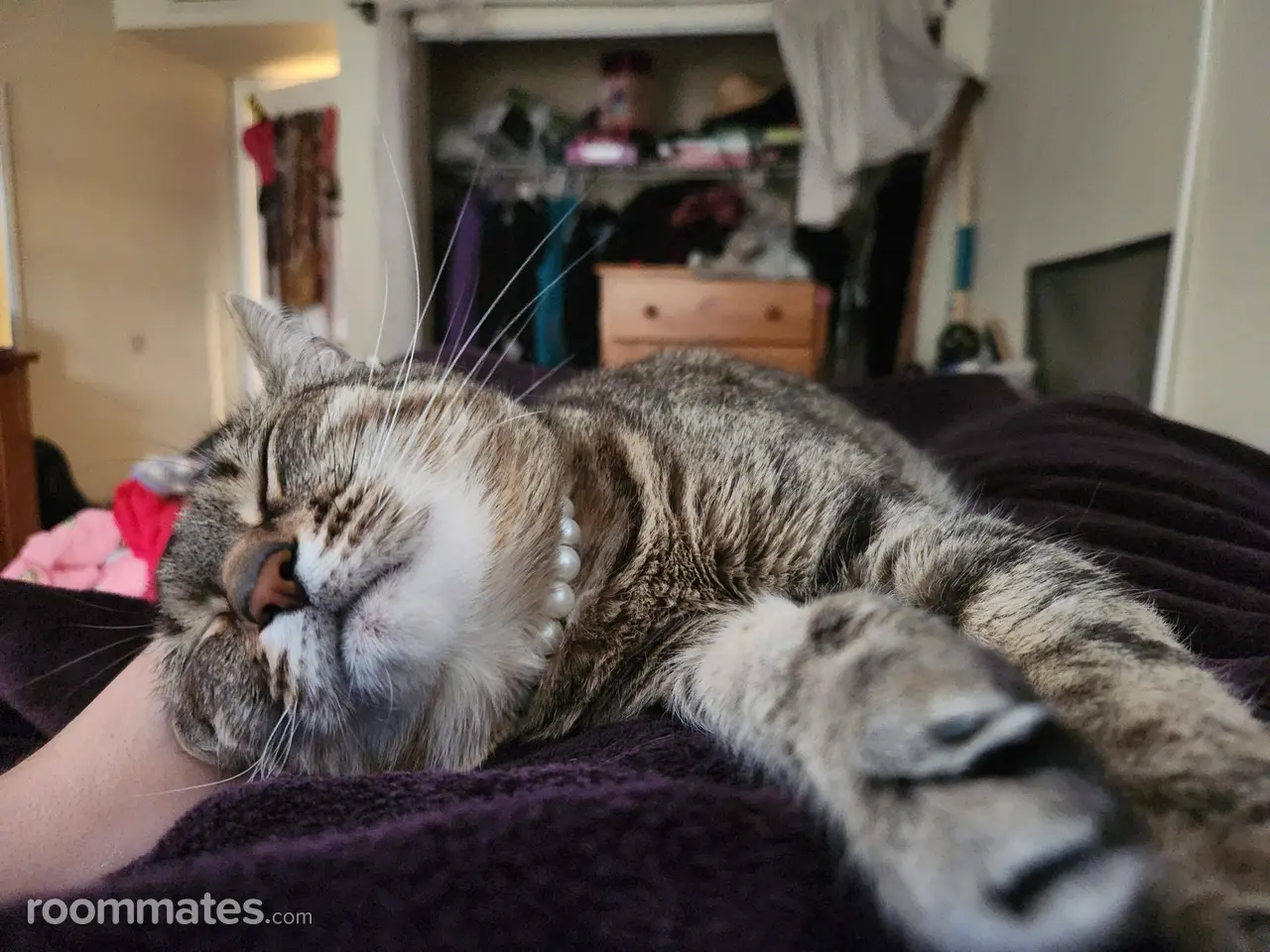 Profile photo 8 of 9