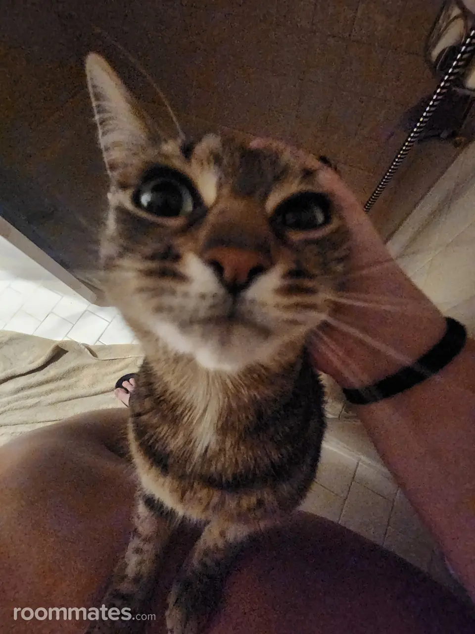 Profile photo 7 of 9