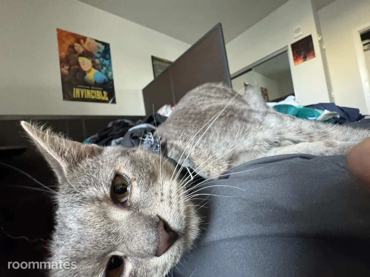 Profile photo 5 of 9