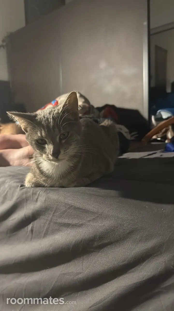 Profile photo 3 of 9