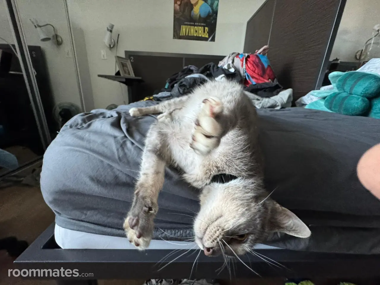 Profile photo 4 of 9