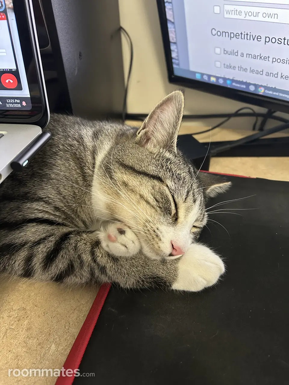 Profile photo 3 of 4