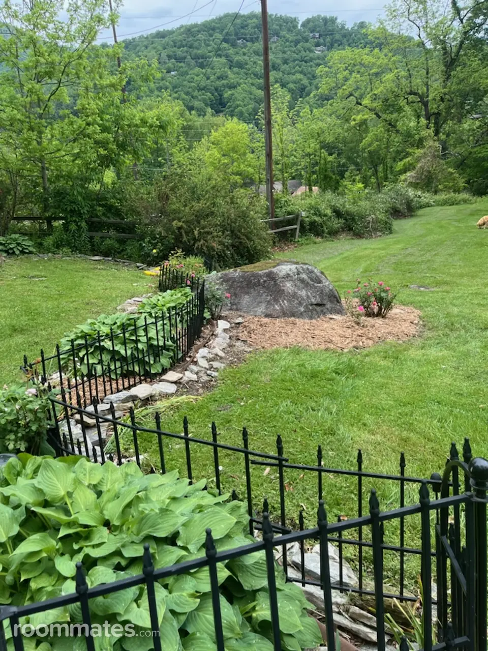 Profile photo 5 of 11