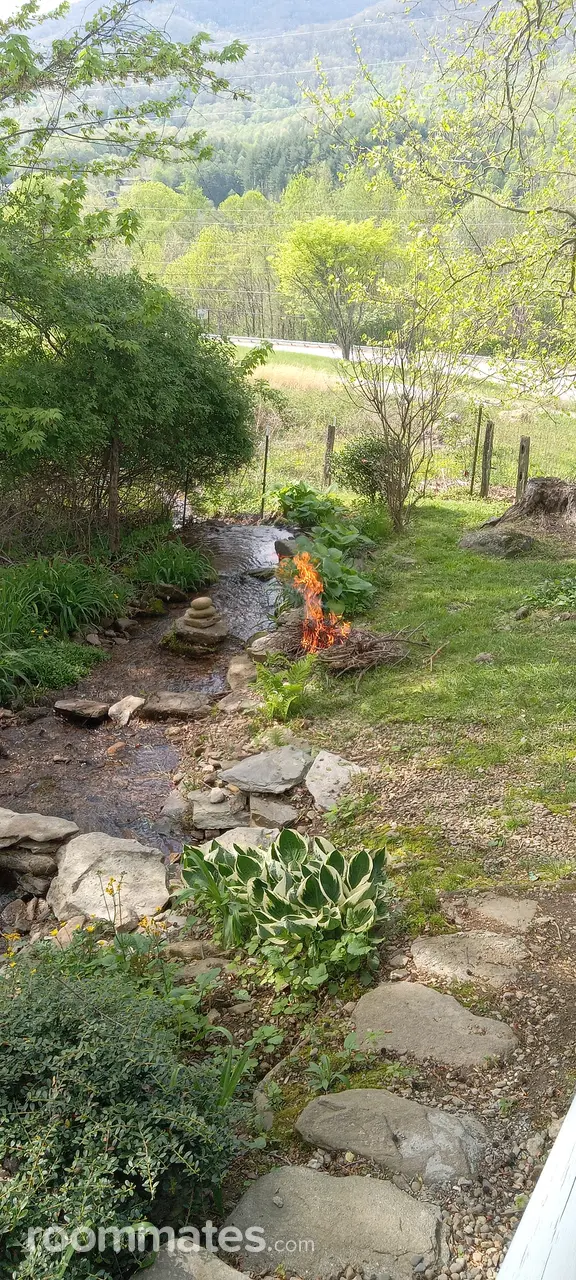 Profile photo 4 of 11