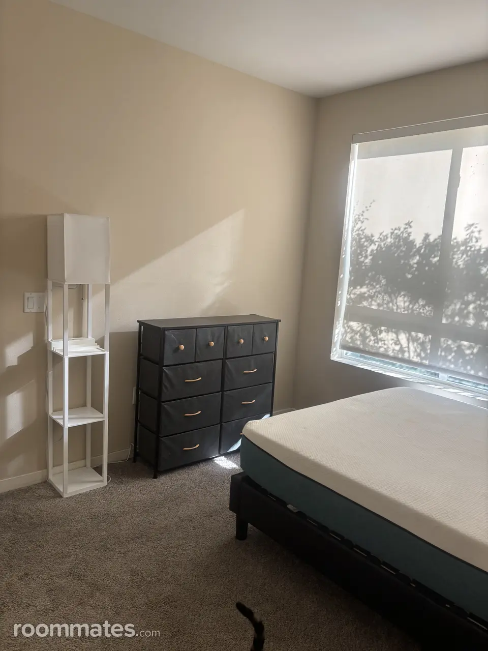 Profile photo 9 of 11