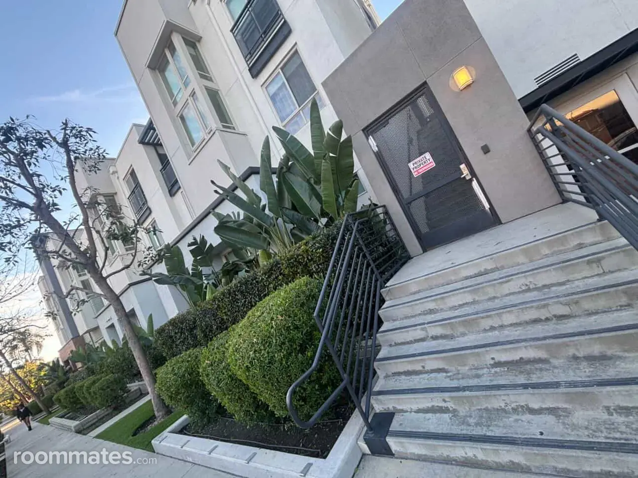 Profile photo 5 of 11