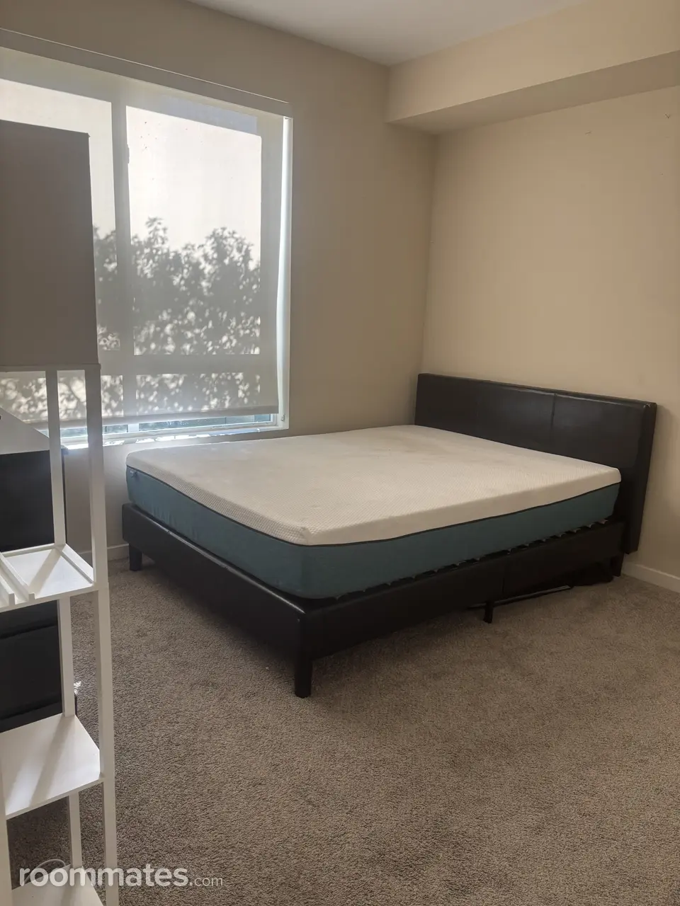 Profile photo 10 of 11