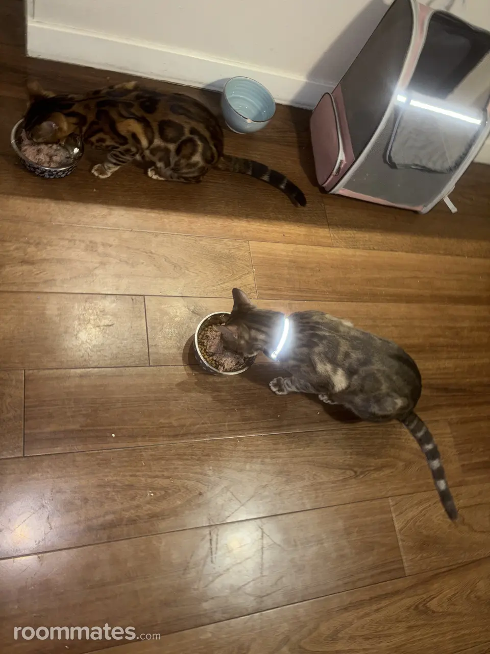 Profile photo 7 of 11