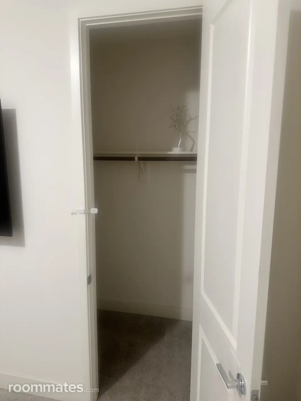 Profile photo 9 of 14