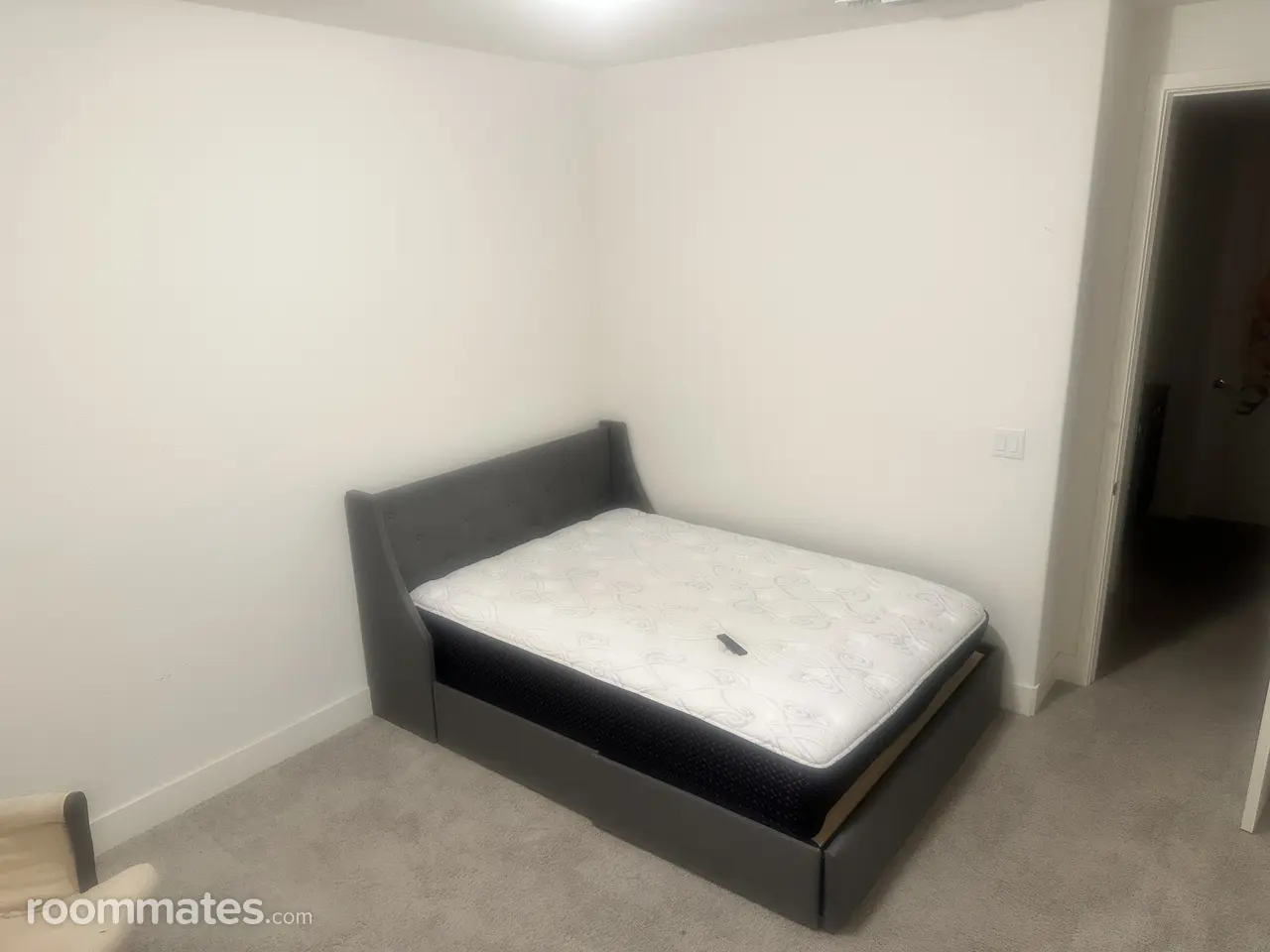 Profile photo 12 of 14