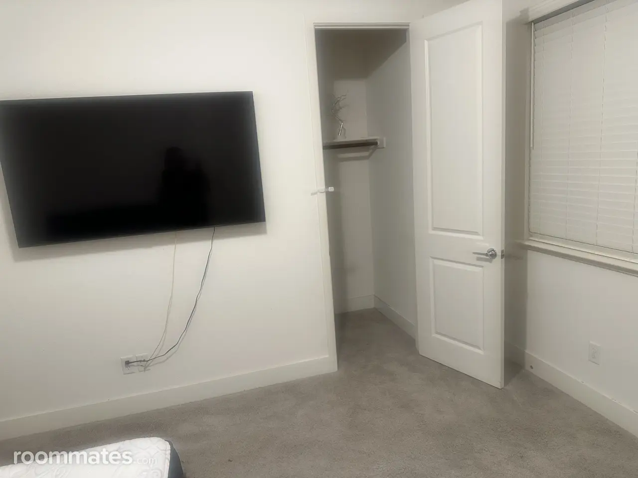 Profile photo 14 of 14