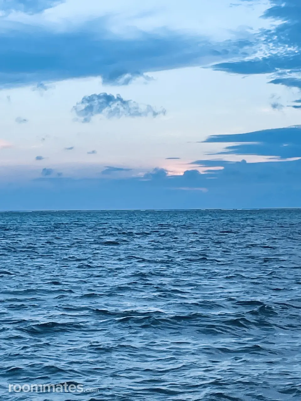 Profile photo 2 of 6