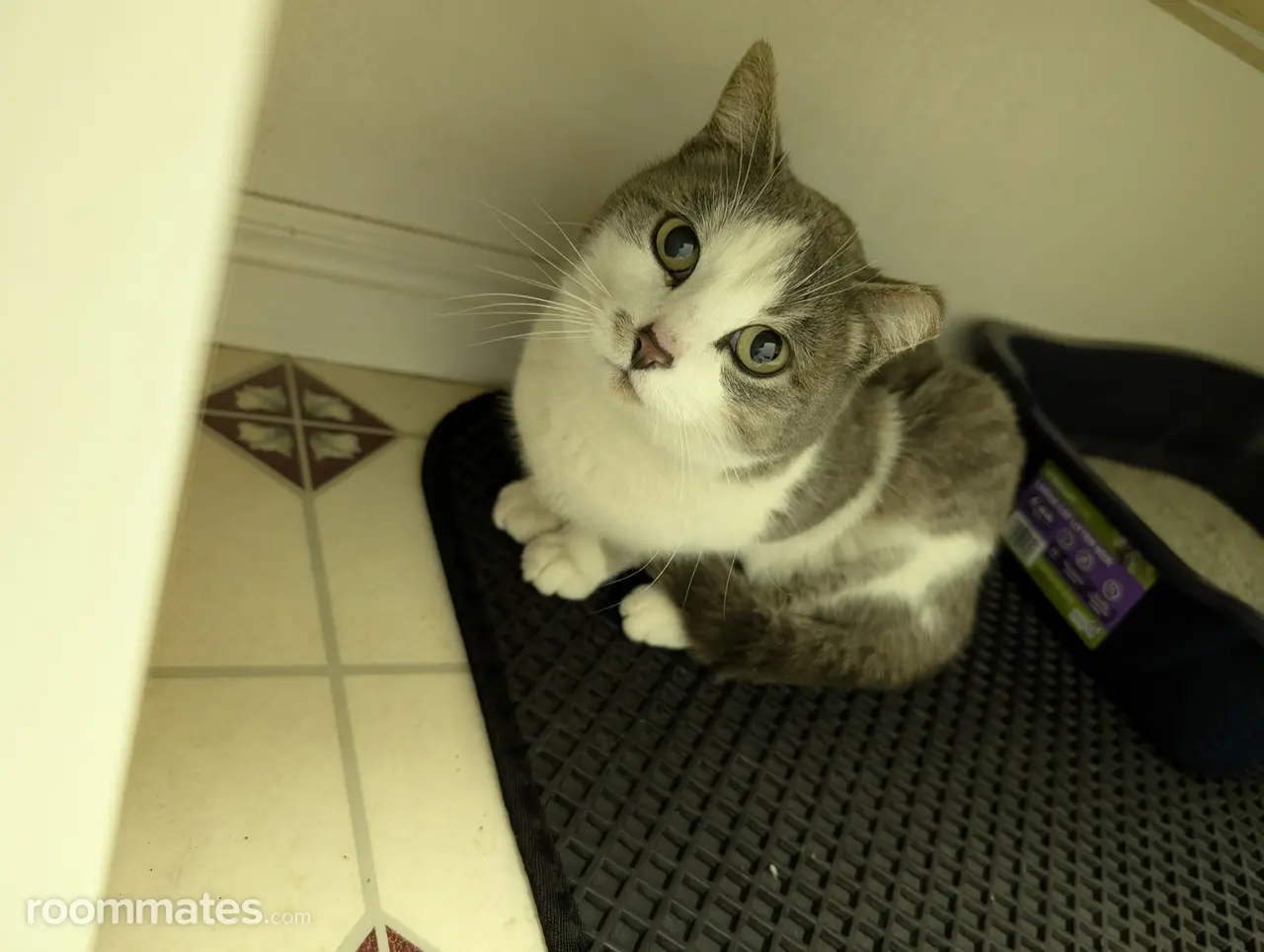 Profile photo 5 of 8