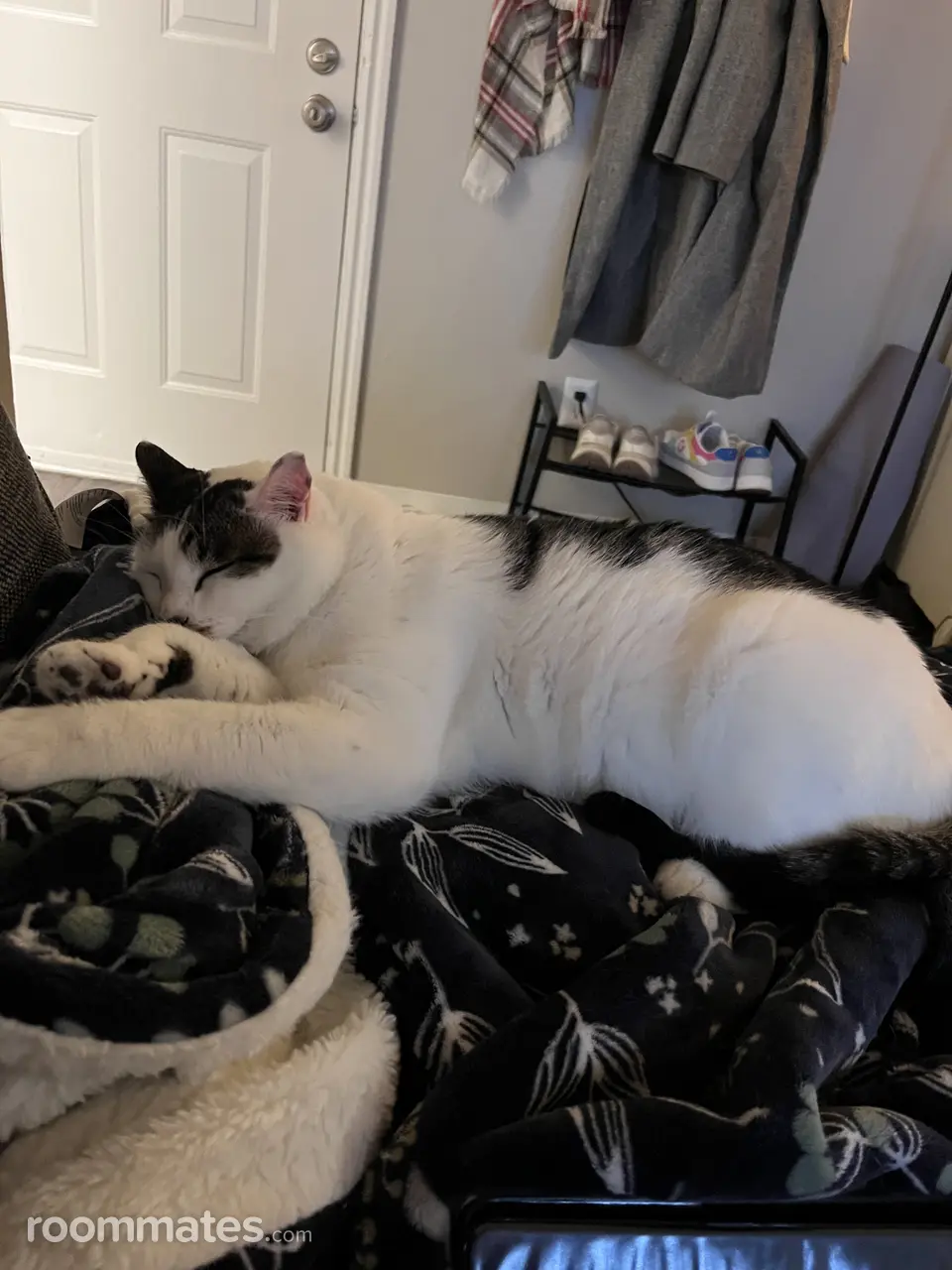 Profile photo 6 of 8