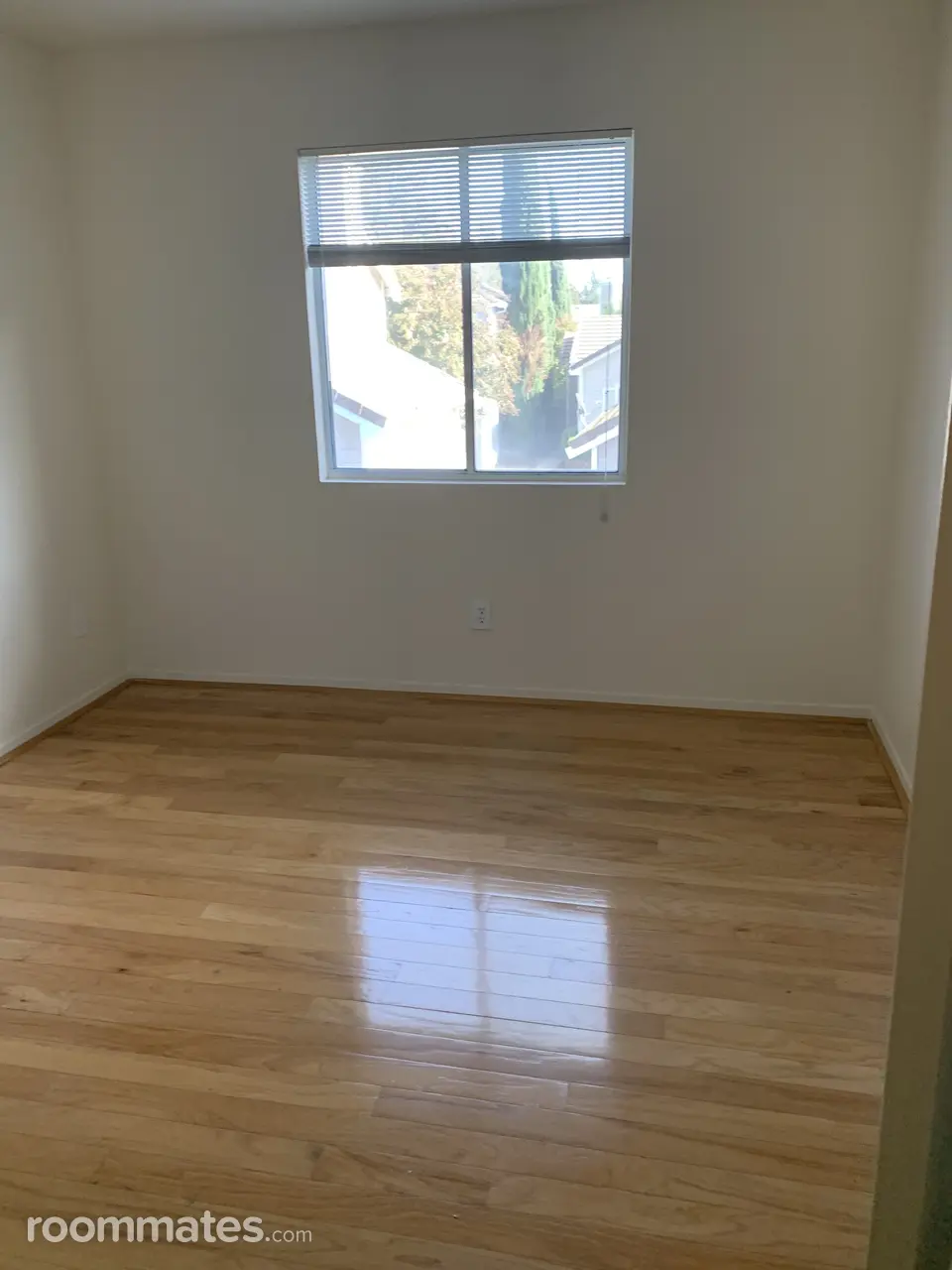 Profile photo 7 of 7