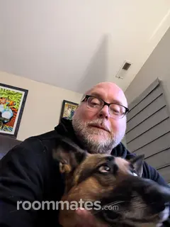 Roommate looking Collingswood, NJ, $1500