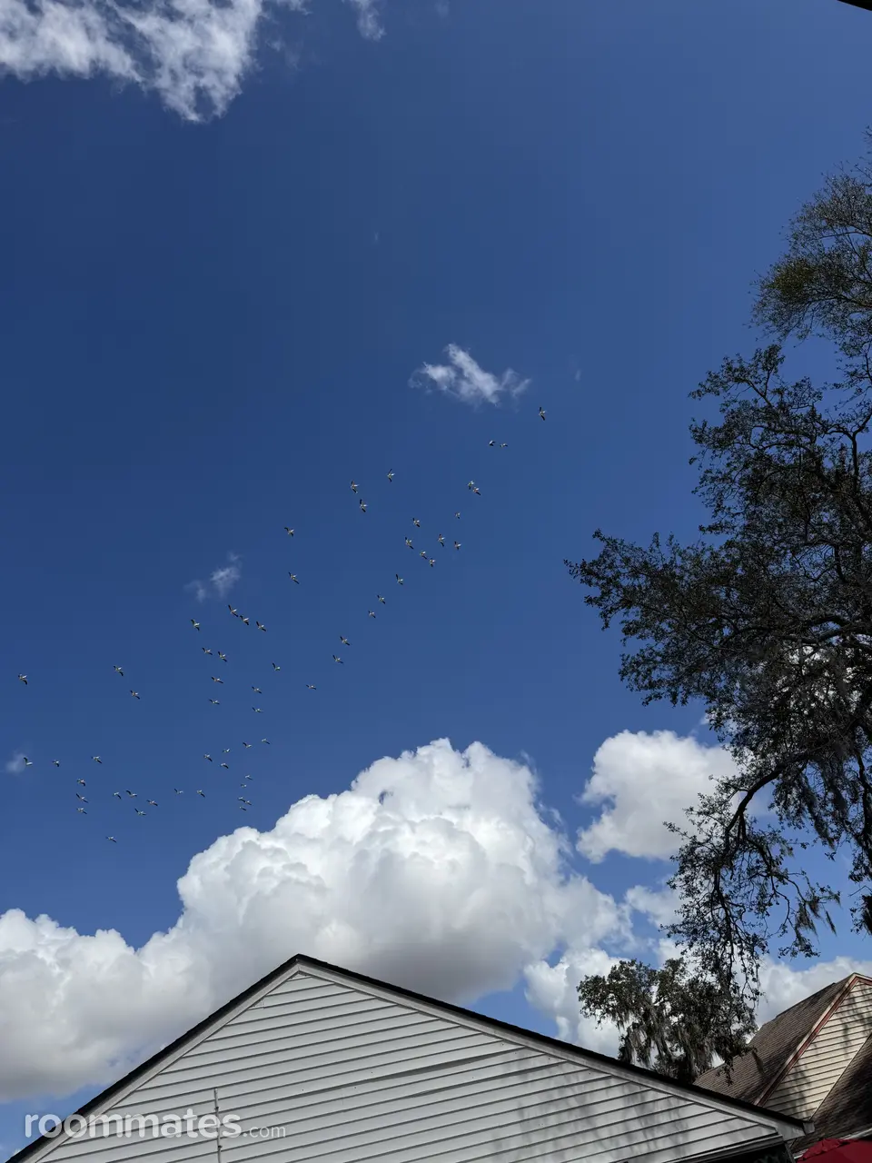 Profile photo 3 of 3