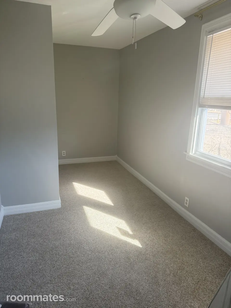 Profile photo 3 of 5