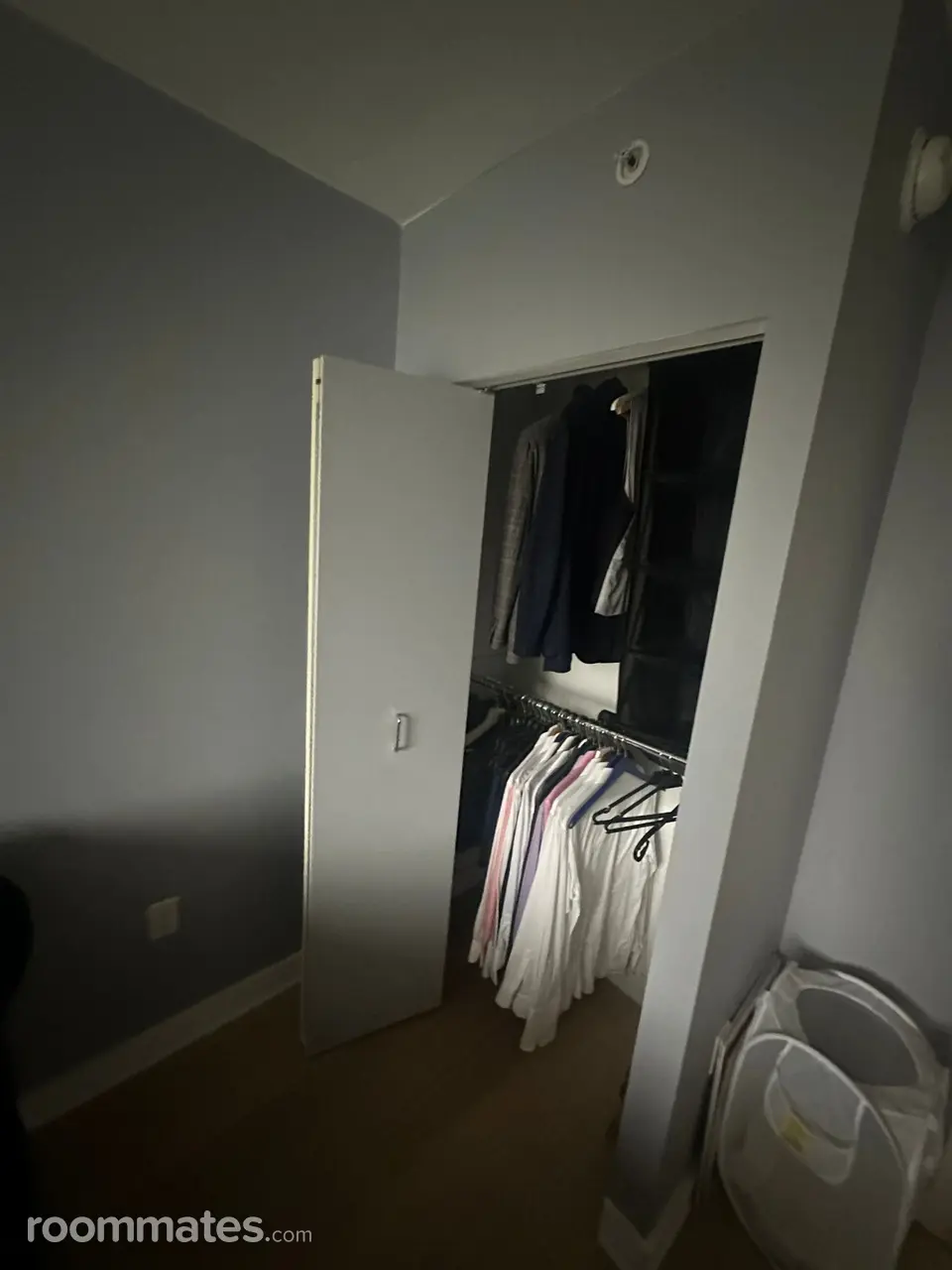 Profile photo 4 of 11