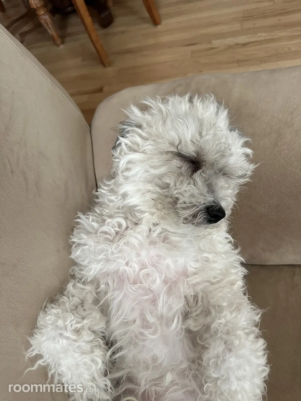 Profile photo 3 of 5