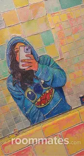 Roommate looking Lancaster, PA, $700