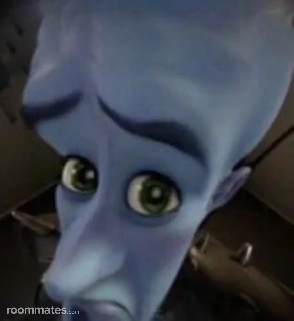 Profile photo 2 of 2