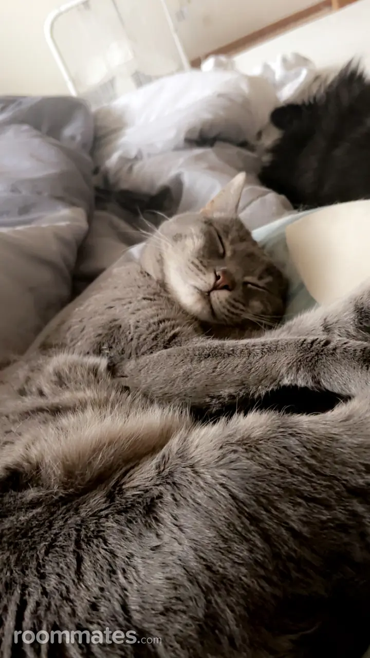 Profile photo 1 of 2