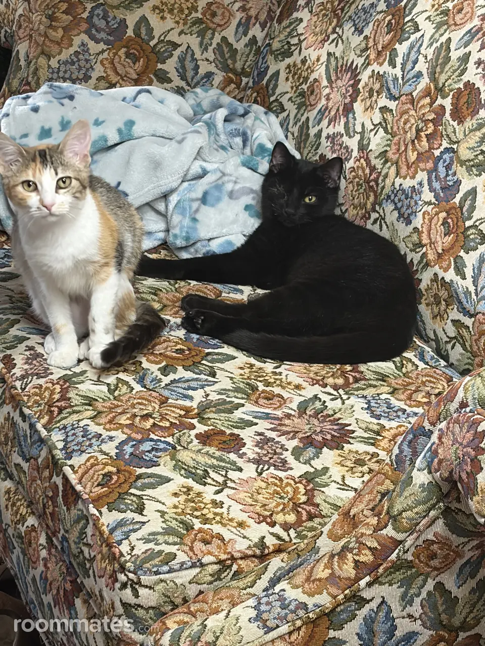 Profile photo 3 of 4