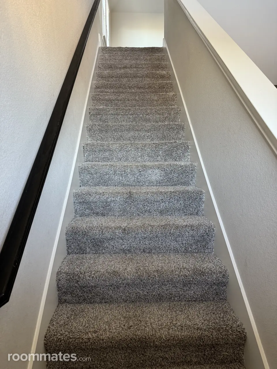 Profile photo 4 of 5