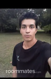 Roommate looking Rockford, IL, $600