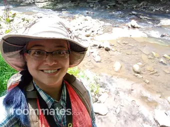 Roommate looking Elwood, IL, $800