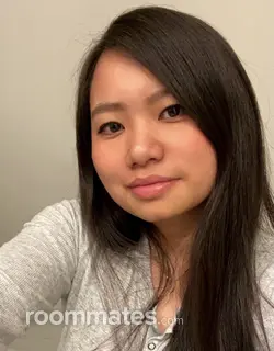 Roommate looking Albany, NY, $700