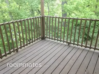 Room for rent in Morgantown, WV $450, apartment