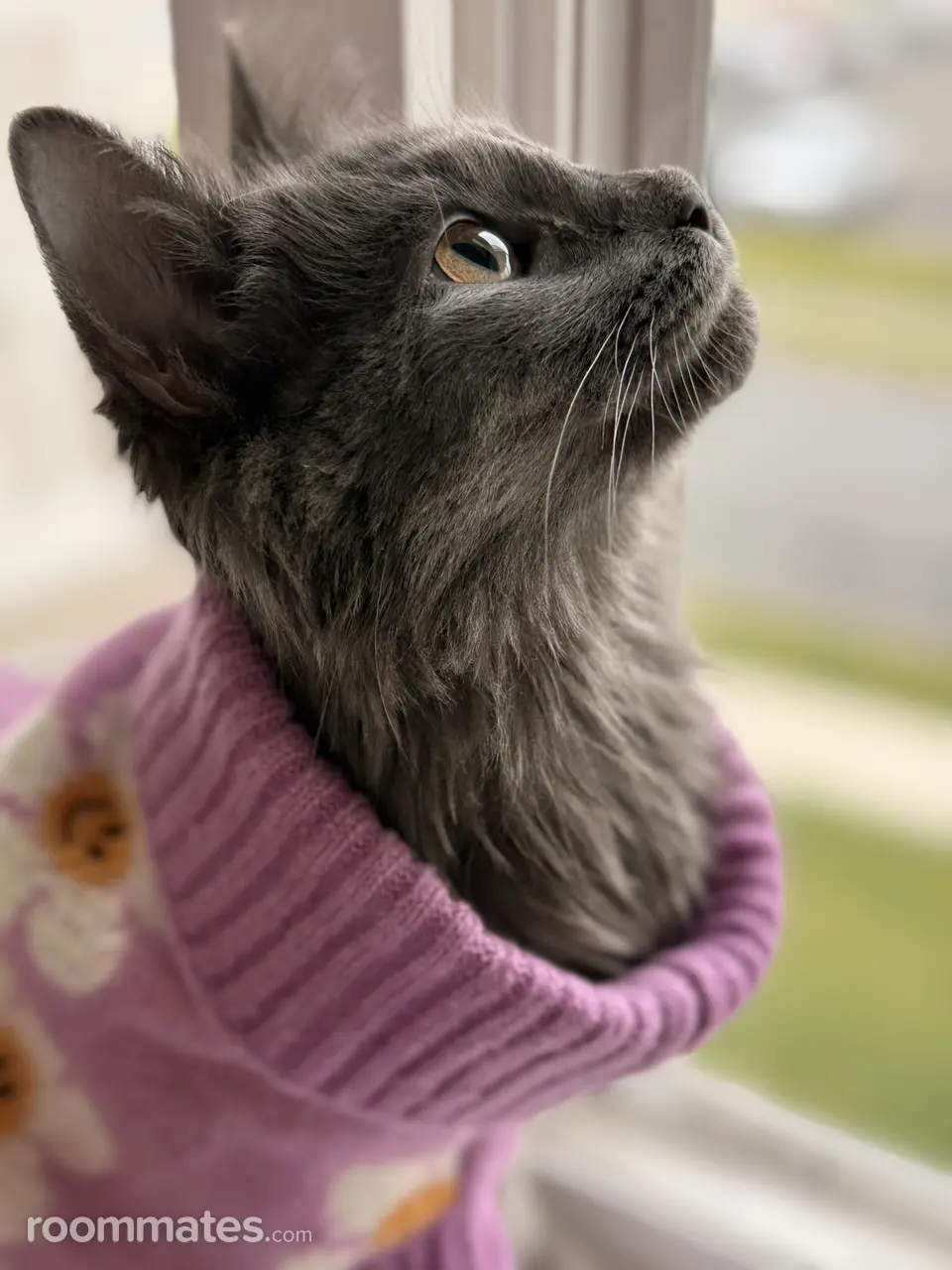 Profile photo 14 of 15